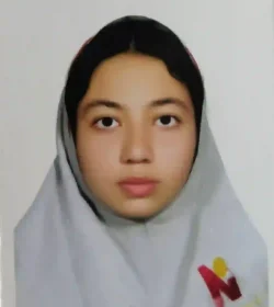 نیلگون کمال احمدی